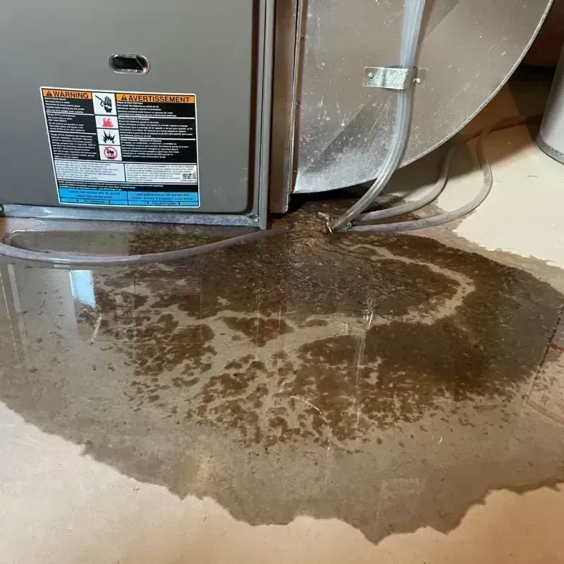 Appliance Leak Cleanup in Farmington, MO